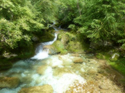 photo : Grotte de Choranche 68 (08/05/2015)