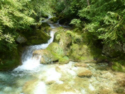 photo : Grotte de Choranche 69 (08/05/2015)