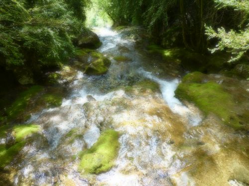 photo : Grotte de Choranche 70 (08/05/2015)