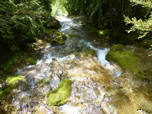 photo : Grotte de Choranche 71 (08/05/2015)