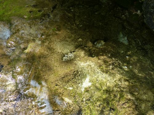 photo : Grotte de Choranche 73 (08/05/2015)