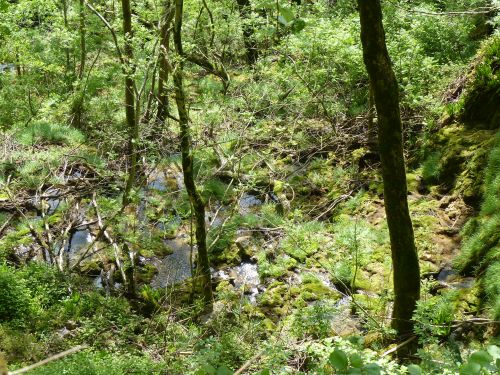 photo : Grotte de Choranche 75 (08/05/2015)