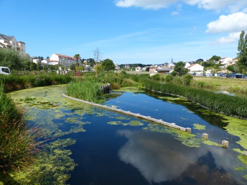 photo : Ria de Pornic 03 (23/07/2015)