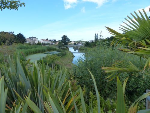 photo : Ria de Pornic 09 (23/07/2015)