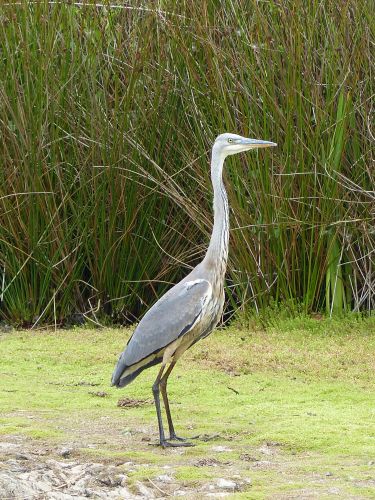 photo : 23 du 31/07/2015