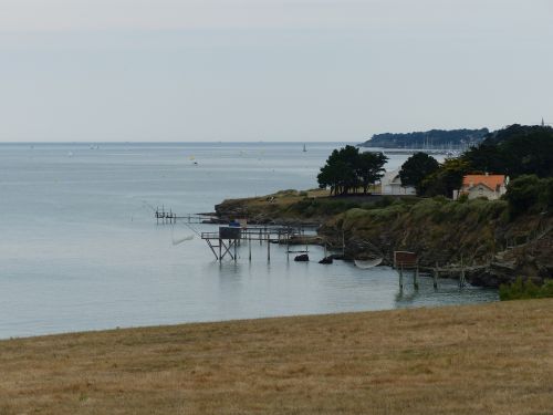 photo : 39 du 31/07/2015