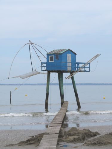 photo : 11 du 19/07/2018