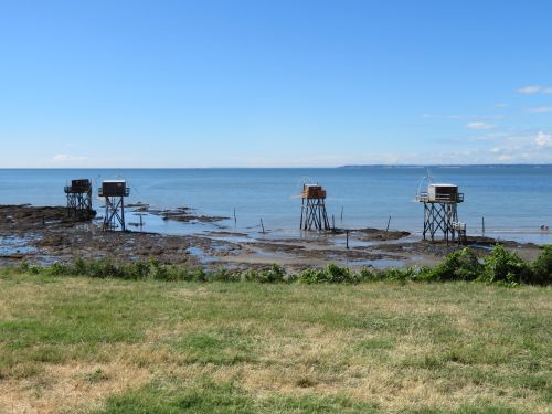 photo : 12 du 21/07/2018