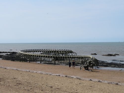 photo : 09 du 26/07/2018
