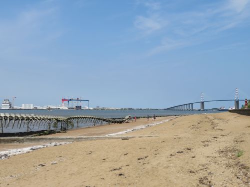 photo : 19 du 26/07/2018