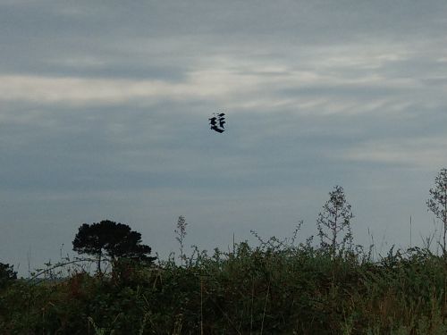 photo : 28 du 26/07/2018