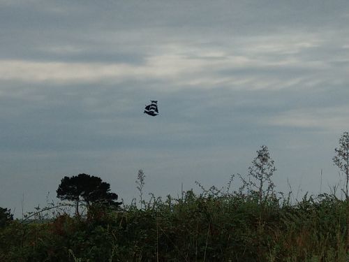 photo : 29 du 26/07/2018