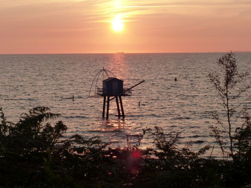 photo : 28 du 15/08/2018