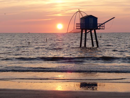 photo : 37 du 15/08/2018