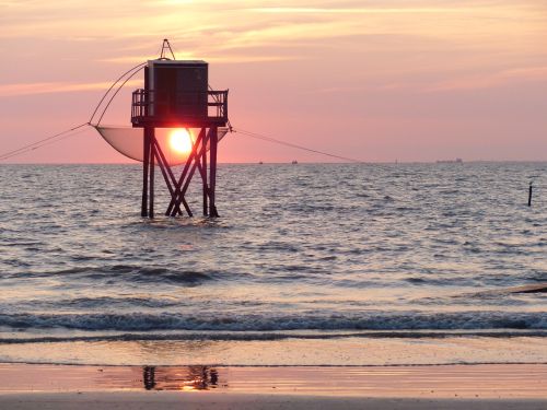 photo : 41 du 15/08/2018