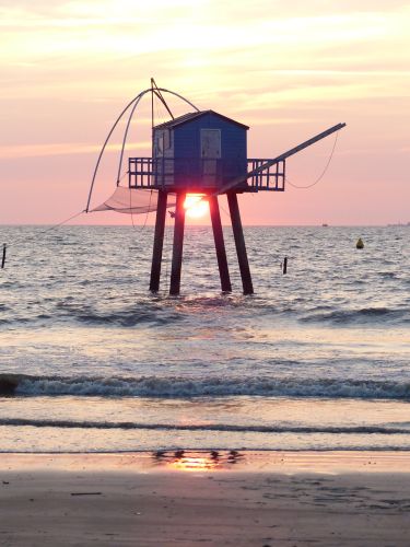 photo : 43 du 15/08/2018