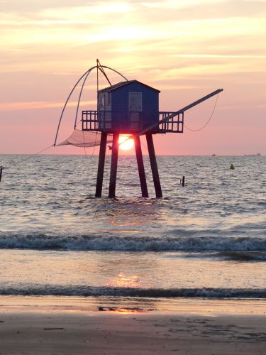 photo : 44 du 15/08/2018