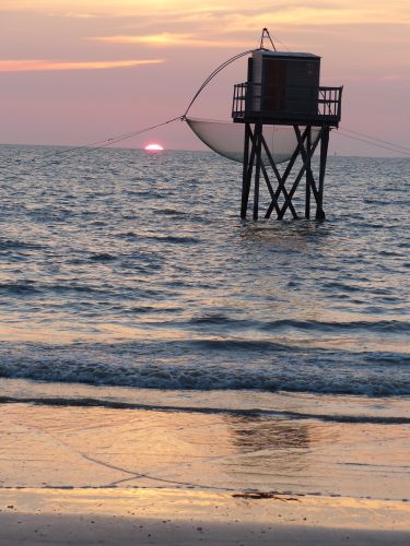 photo : 56 du 15/08/2018