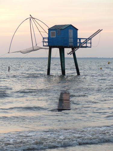 photo : 61 du 15/08/2018