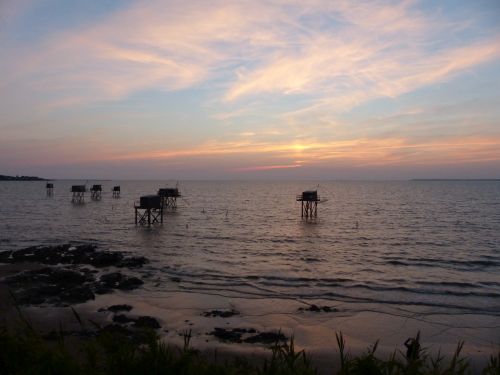 photo : 66 du 15/08/2018