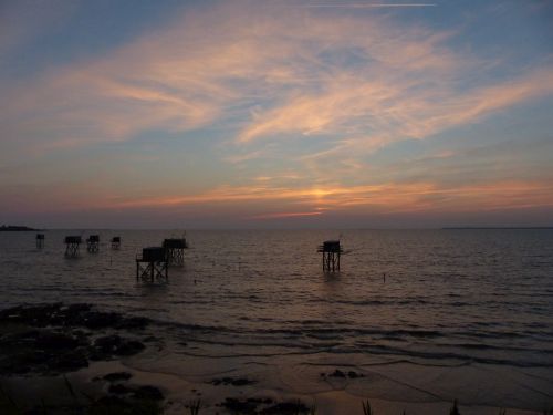 photo : 67 du 15/08/2018