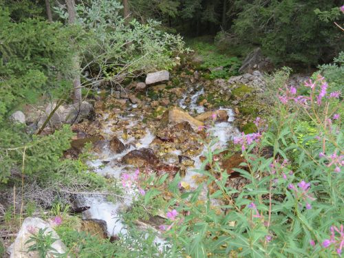 photo : 04 pralognan la vanoise (20/08/2018)