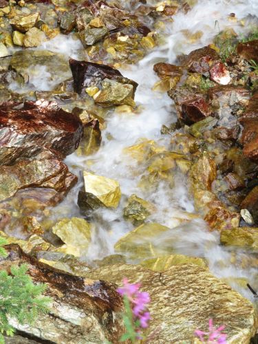 photo : 06 pralognan la vanoise (20/08/2018)