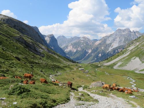 photo : 11 rando lac des vaches pralognan la vanoise (21/08/2018)