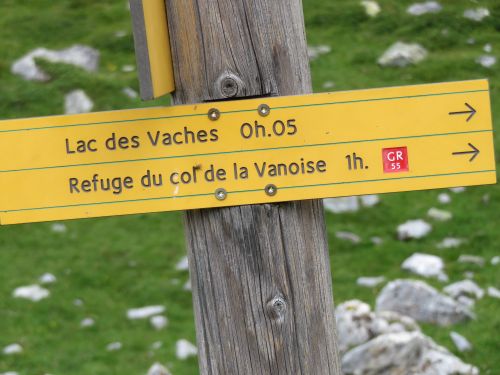 photo : 50 rando lac des vaches pralognan la vanoise (21/08/2018)