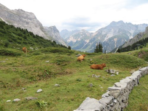 photo : 56 rando lac des vaches pralognan la vanoise (21/08/2018)