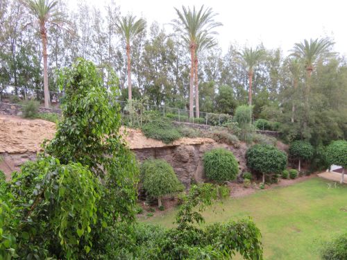 photo : 15 fuerteventura (22/10/2018)