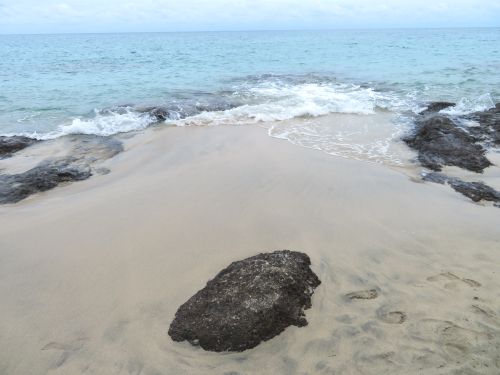 photo : 50 fuerteventura (22/10/2018)