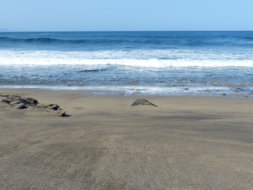 photo : 055 la pared (24/10/2018)