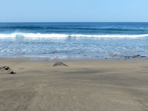 photo : 057 la pared (24/10/2018)