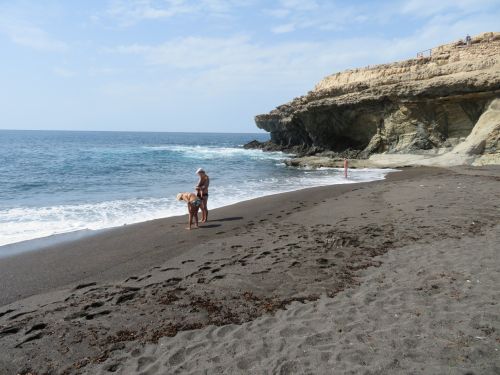 photo : 126 ajuy (24/10/2018)