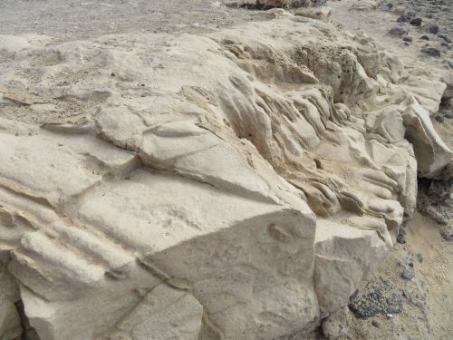 photo : 150 ajuy (24/10/2018)