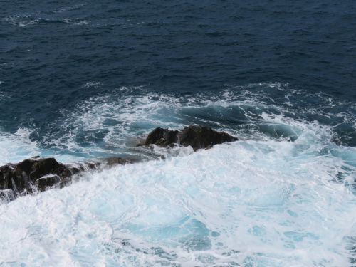 photo : 162 ajuy (24/10/2018)