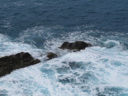 photo : 163 ajuy (24/10/2018)