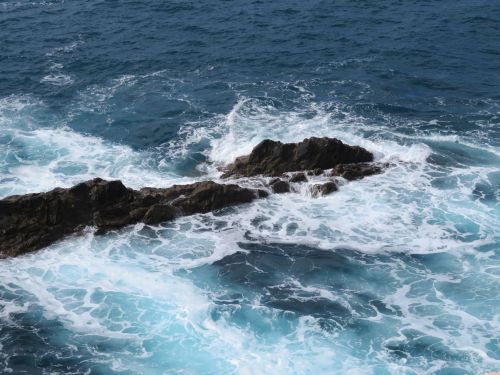 photo : 164 ajuy (24/10/2018)