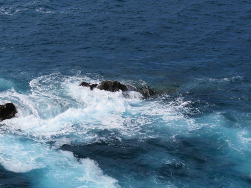 photo : 165 ajuy (24/10/2018)