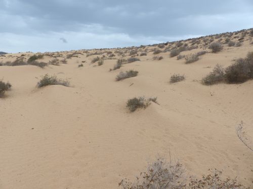 photo : 11 sotavento sud apres l orage (25/10/2018)