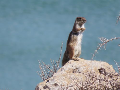 photo : 105 du 27/10/2018