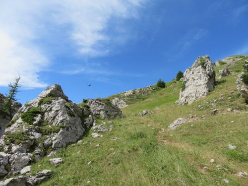 photo : 07 orcieres merlette (08/07/2019)