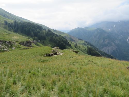 photo : 02 orcieres merlette (11/07/2019)