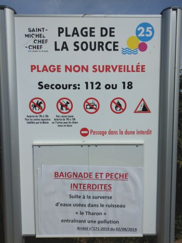 photo : 152 du 03/08/2019