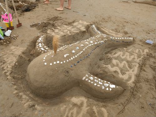 photo : 101 concours chateaux sable (14/08/2019)