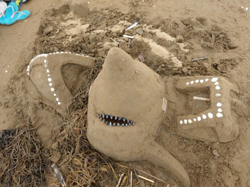 photo : 111 concours chateaux sable (14/08/2019)