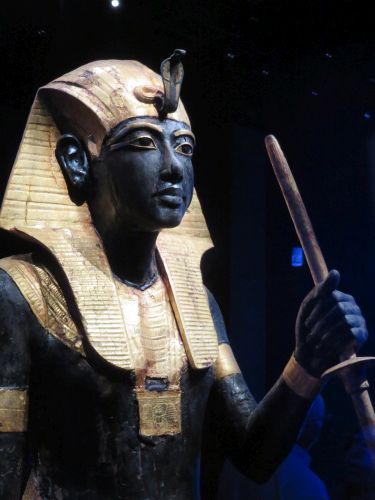 photo : 45 exposition toutankhamon (25/08/2019)