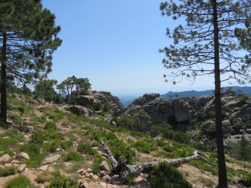 photo : 08 randonnee la cascade de piscia di gallu (11/07/2020)