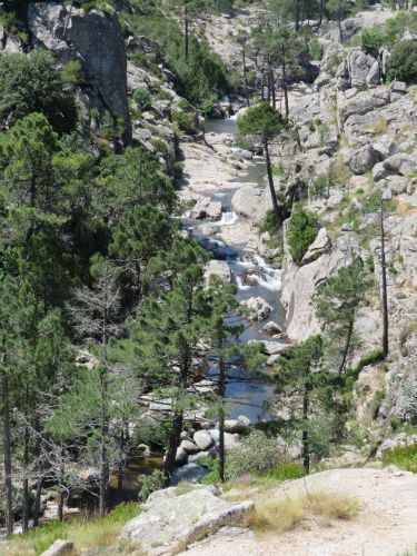 photo : 14 randonnee la cascade de piscia di gallu (11/07/2020)